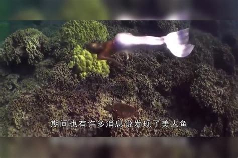 美人鱼被海水冲上岸，引来村民围观，村里老人却一眼认出了“它”上岸村民村里