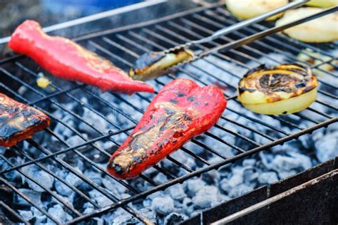 Vegetables Grill Marinade Bbq Healthy Fire Barbecue Stock Image Image Of Dish Dinner 146244535