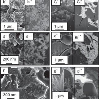 Energy Disperse X Ray Spectroscopy Spectra Of Neat PLA TiO 2