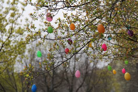 Sometimes Creative: Easter Egg Tree