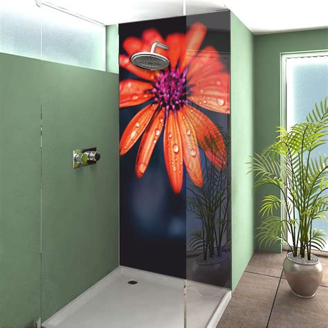 Duschr Ckwand Blumenshower