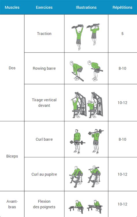 Programme De Musculation Pour D Butant Sur Semaines Comprend Un