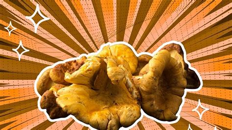 7 Simple Chestnut Mushrooms Substitutes Savor The Flavor