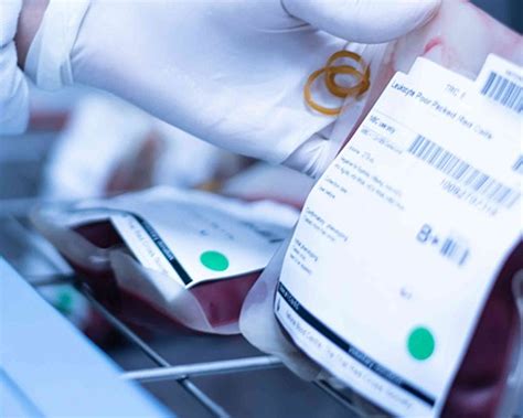 Maestría Internacional en Hematología Banco de Sangre y Genética