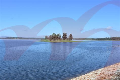 Chuva Assegura Campanha De Na Barragem Do Caia R Dio Campo Maior