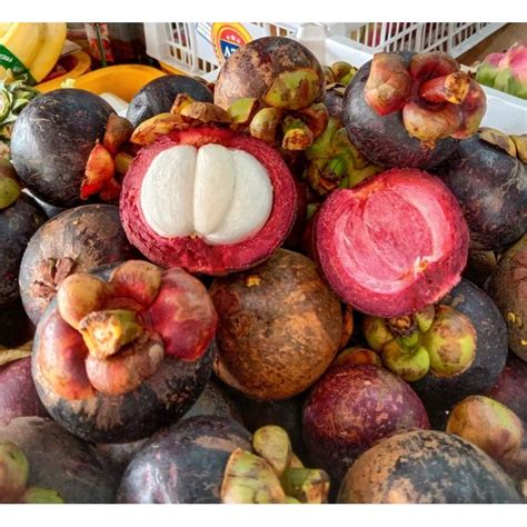 Jual Buah Manggis Fresh 1kg Shopee Indonesia