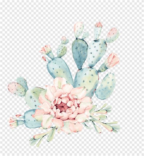 Cactaceae Watercolor Painting Succulent Plant Euclidean Hand Painted