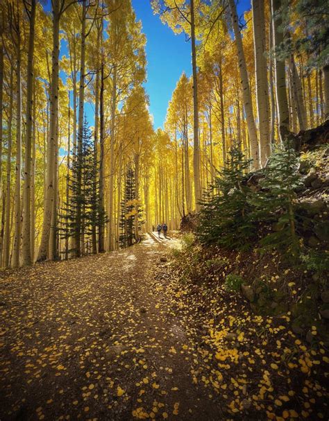 Inner Basin Trail The Most Beautiful Autumn Trail In Arizona