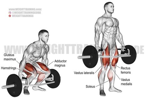 Trap bar deadlift exercise instructions and video | Weight Training Guide