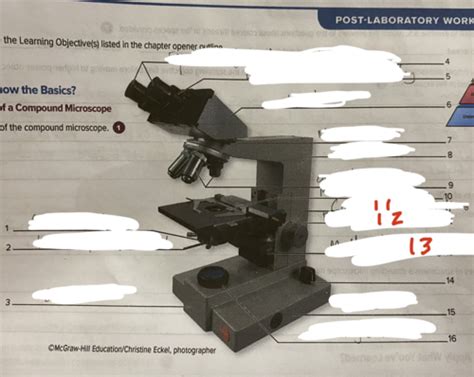 Microscopy Flashcards Quizlet