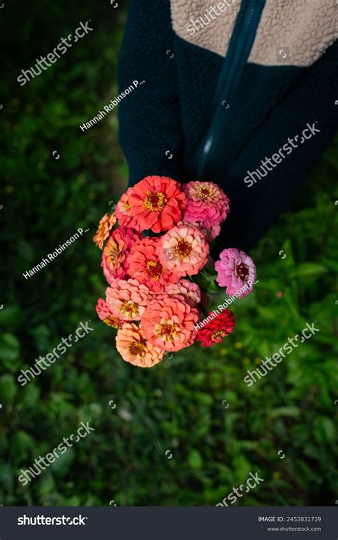 111 658 Mens Bouquet Images, Stock Photos, 3D objects, & Vectors ...