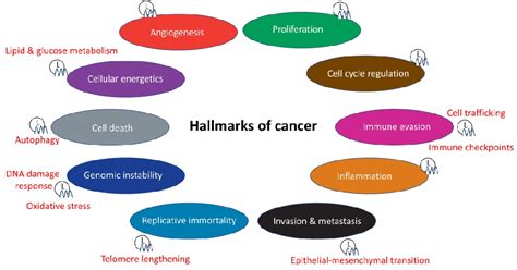 Figure 1 From Role Of Circadian Rhythm Disorders In Emt And Tumor