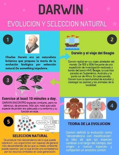 Pin On 1 Origen Del Ser Humano Charles Darwin How To Create