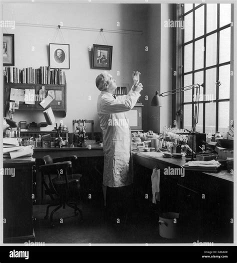 Alexander fleming laboratory Black and White Stock Photos & Images - Alamy