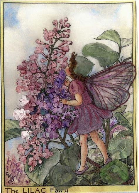 Cicely Mary Barker The Lilac Fairy Flower Fairies Fairy Art