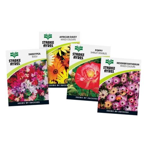 Starke Ayres Winter Flower Per Packet 15g Smart Price Specials PnP Home