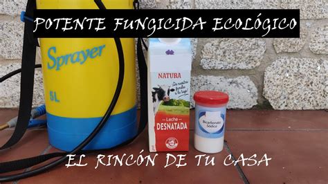 Fungicida De Leche Y Bicarbonato Contra Mildiuoidioroya Youtube