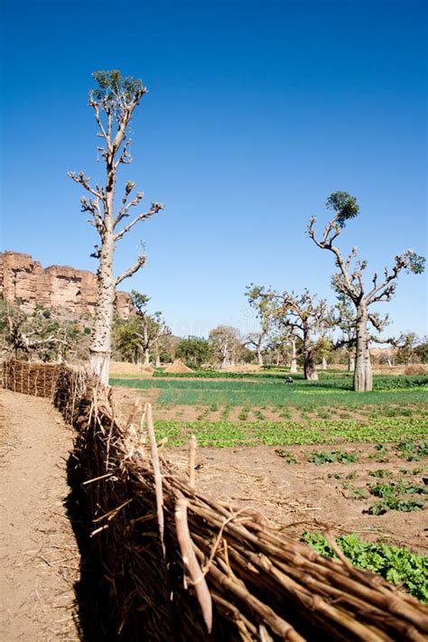 The Bandiagara Escarpment, Mali (Africa). Stock Photo - Image of cliff, african: 21232648