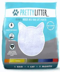 10 Best Cat Litters for Odor Control [By Price/Category] - The Fluffy Kitty