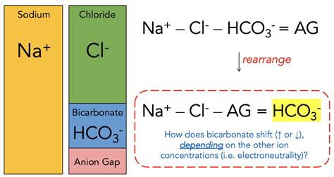 Bicarbonate Revisited Sinai Em