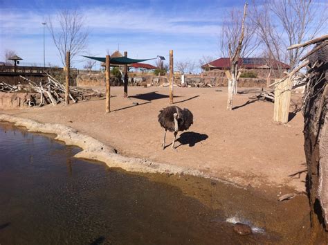 Fort Bliss Texas: El Paso Zoo