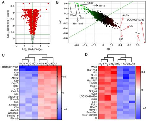 Ingenuity Pathway Analysis Of Differentially Expressed Genes Involved