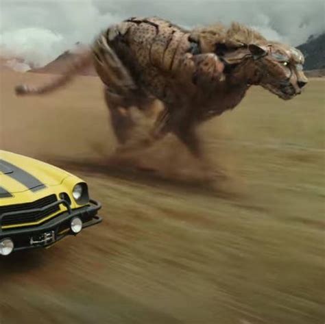 With The Exception Of Bumblebee Only One Robot In Rise Of The Beasts