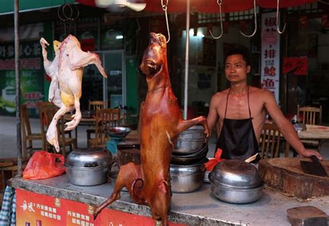 [China] - Woman mourns the death of her dog who had been deliberately ...