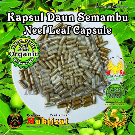 Jualan Borong Kapsul Daun Semambu Neem Leaf Capsule