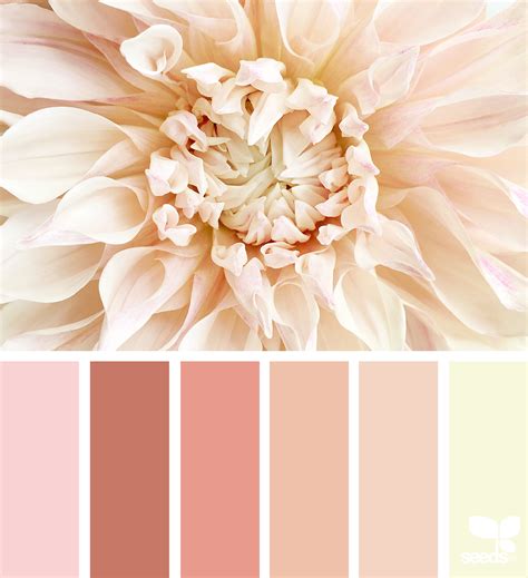 Seed Color Palette