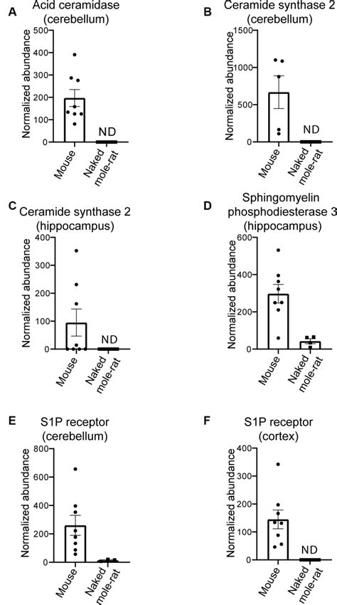 Differential Proteins In Mouse Compared To Naked Mole Rats A