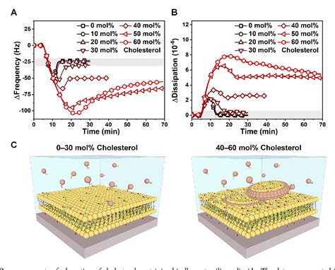 Figure 1 From Characterizing The Supported Lipid Membrane Formation