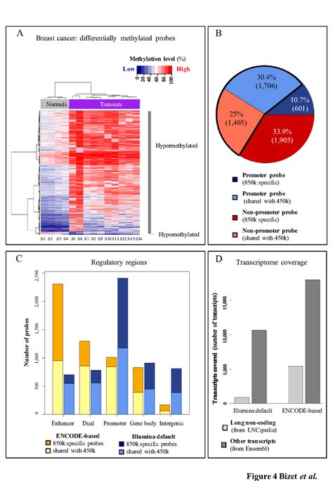 Differential Methylation Analysis Of Breast Tumours Vs Normal Samples