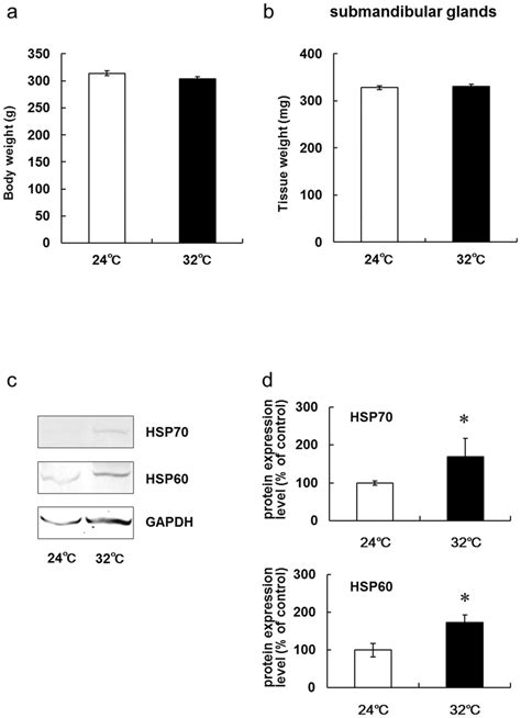 Hsp60 And Hsp70 Expression In Rat Submandibular Glands Is Upregulated