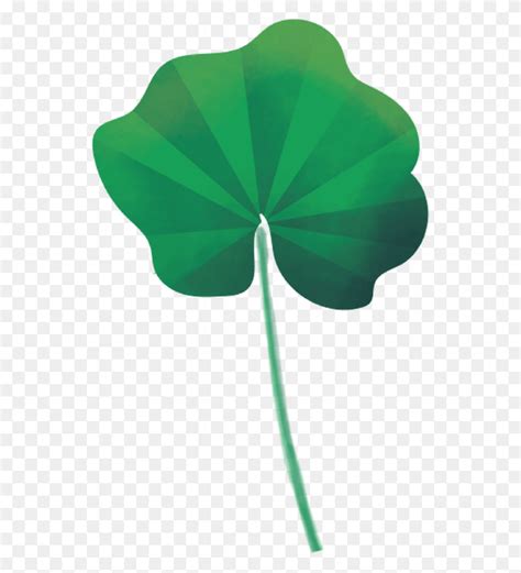 La Malva Ilustraci N Haviva Seligson Planta Flor Flor Hd Png