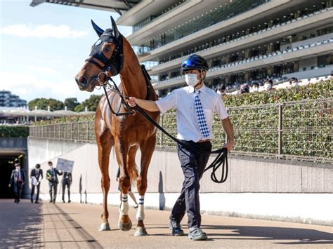 【メイクデビュー東京5rレース後コメント】シャンパンカラー戸崎圭太騎手ら 競馬ニュース Netkeiba