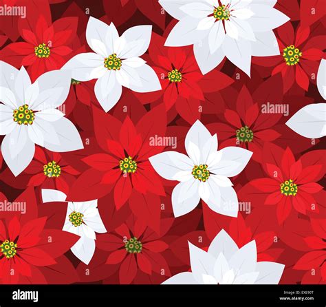 Seamless Christmas Background With Red And White Poinsettias Vector