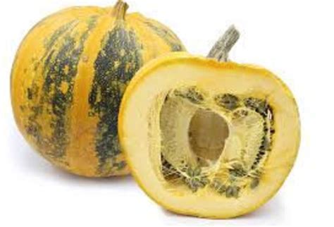 Pumpkin Kakai Pumpkins Hulless Dana Seeds Heirloom Etsy