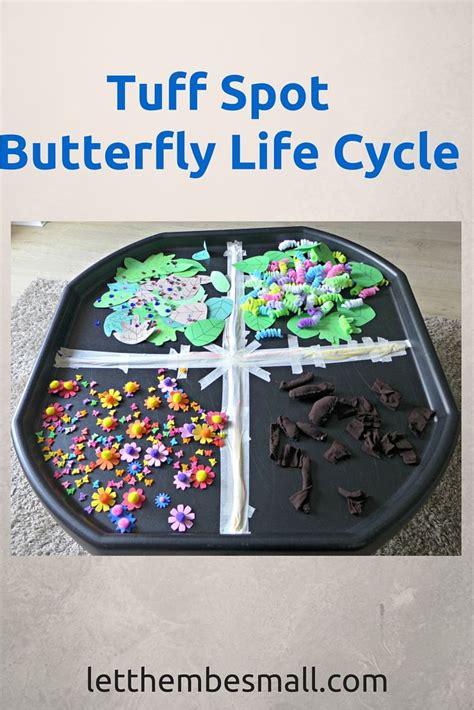 Butterfly Life Cycle Tuff Spot Tuff Spot The Very Hungry Caterpillar