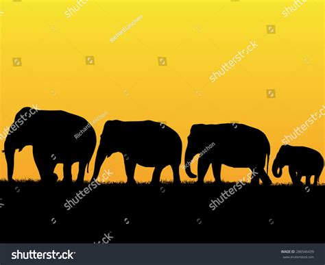 African Sunset Background Elephant Herd Stock Vector (Royalty Free ...