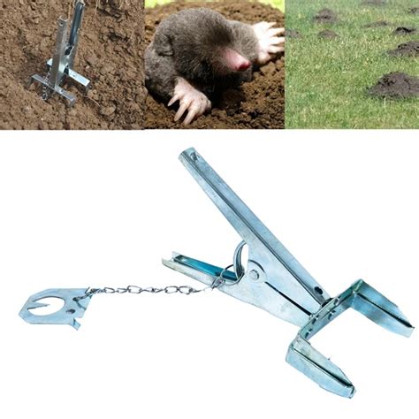 Humane Mole Traps