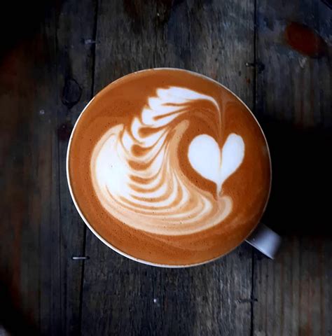 Латте арт мишка (42 лучших фото)