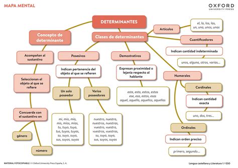 Eso Unidad Mapa Mental Los Determinantes Pdf