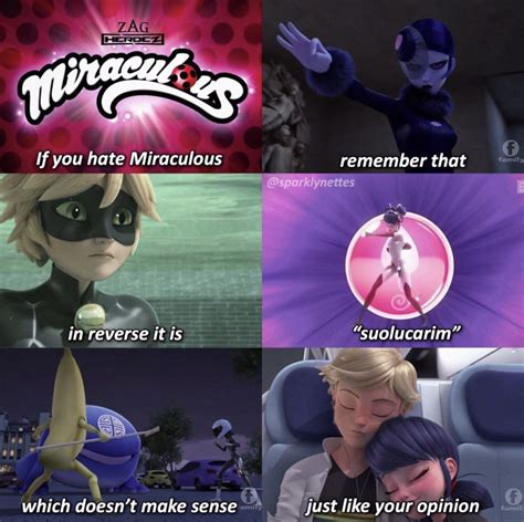 Pin By Izzy On Ladybugcat Noir Miraculous Ladybug Memes Miraculous Ladybug Funny Miraculous