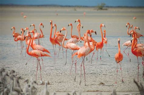 Little islands, big wildlife - Southern Boating