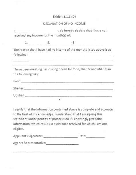 Declaration Of No Income Form Pdf