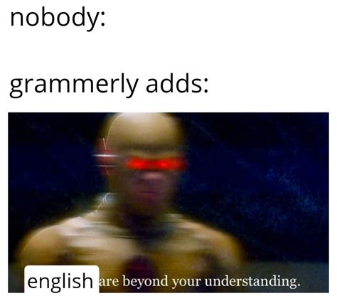 Grammarly Meme Rosenored