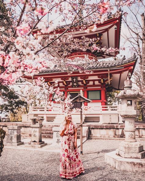 The Best Cherry Blossom Locations in Kyoto - CHARLIES WANDERINGS