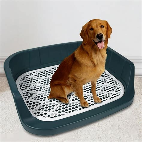 walmart dog litter box  tyler mckinley blog