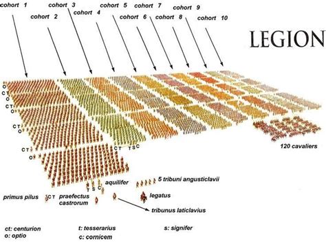 Roman Legion Formation